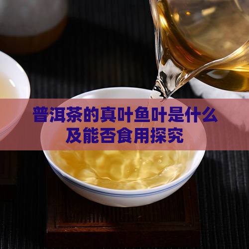 普洱茶的真叶鱼叶是什么及能否食用探究