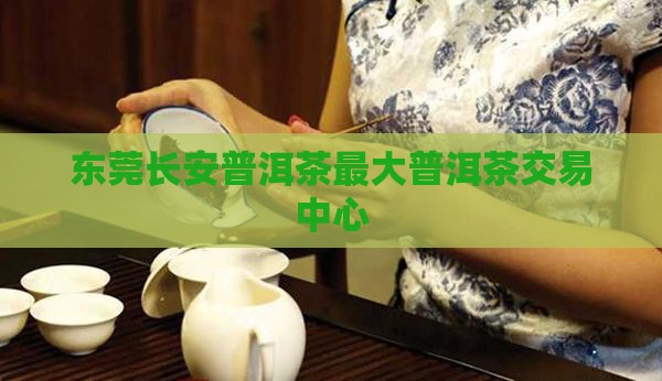 东莞长安普洱茶最大普洱茶交易中心