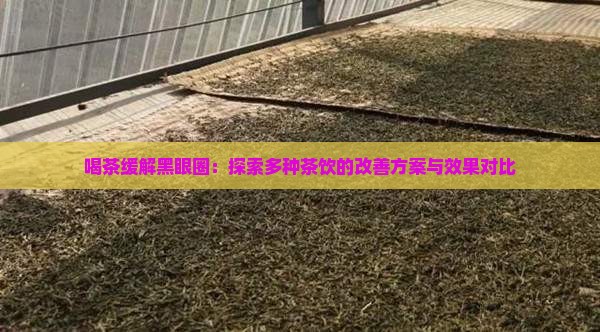 喝茶缓解黑眼圈：探索多种茶饮的改善方案与效果对比