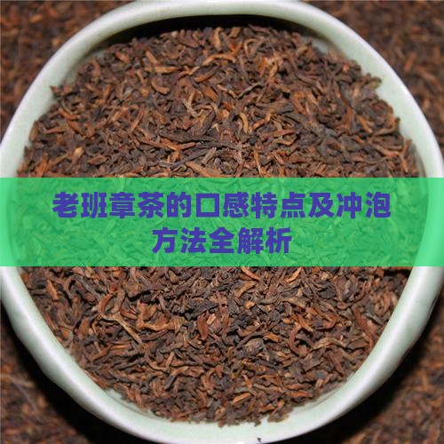 老班章茶的口感特点及冲泡方法全解析