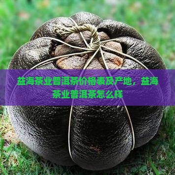 益海茶业普洱茶价格表及产地，益海茶业普洱茶怎么样