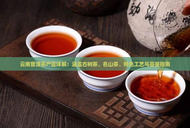 云南普洱茶产区详解：涵盖古树茶、名山茶、特色工艺与品鉴指南