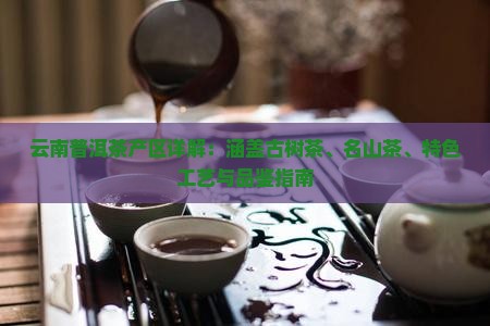 云南普洱茶产区详解：涵盖古树茶、名山茶、特色工艺与品鉴指南