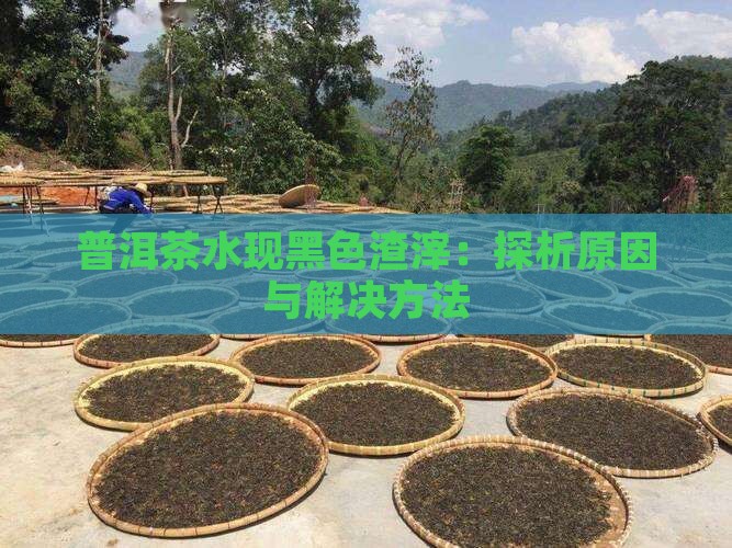 普洱茶水现黑色渣滓：探析原因与解决方法