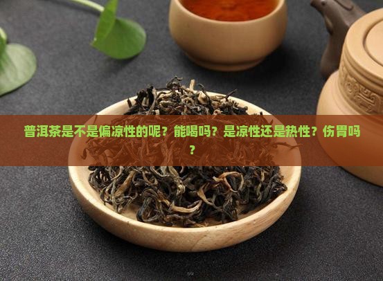 普洱茶是不是偏凉性的呢？能喝吗？是凉性还是热性？伤胃吗？