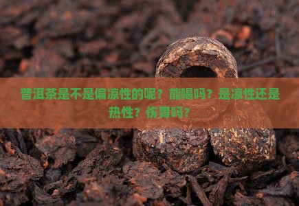 普洱茶是不是偏凉性的呢？能喝吗？是凉性还是热性？伤胃吗？