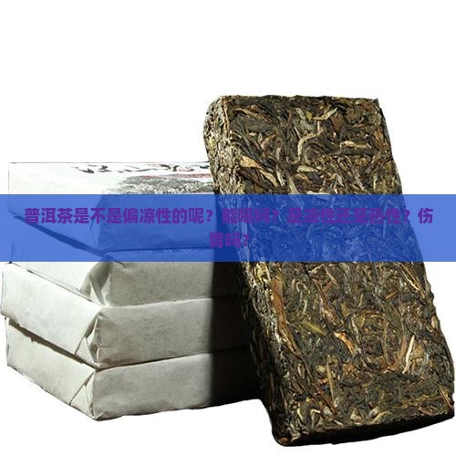 普洱茶是不是偏凉性的呢？能喝吗？是凉性还是热性？伤胃吗？