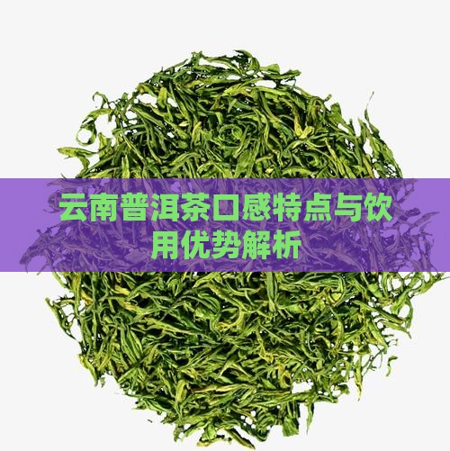云南普洱茶口感特点与饮用优势解析