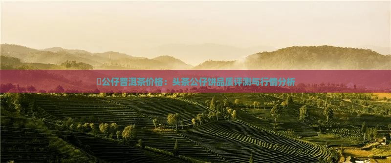 孖公仔普洱茶价格：头茶公仔饼品质评测与行情分析