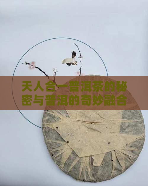 天人合一普洱茶的秘密与普洱的奇妙融合
