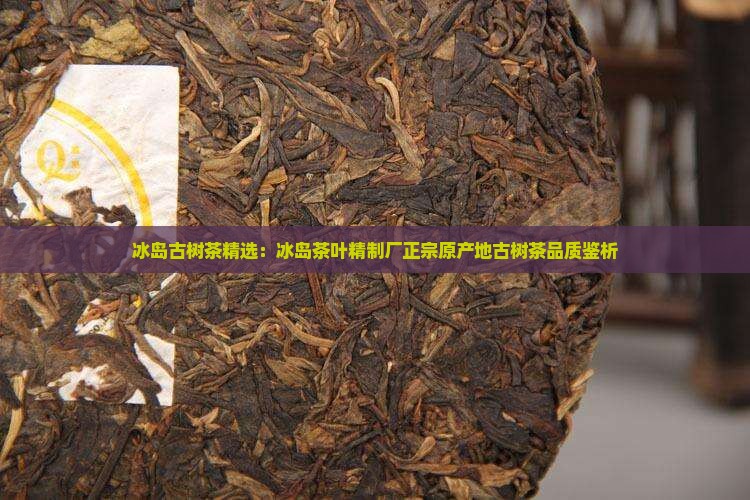 冰岛古树茶精选：冰岛茶叶精制厂正宗原产地古树茶品质鉴析