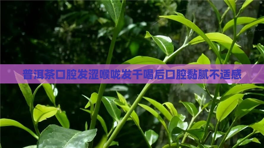 普洱茶口腔发涩喉咙发干喝后口腔黏腻不适感