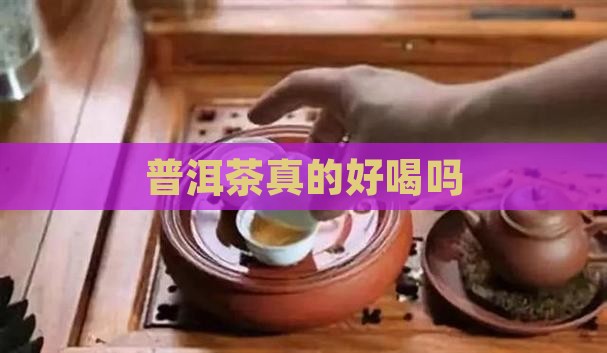 普洱茶真的好喝吗
