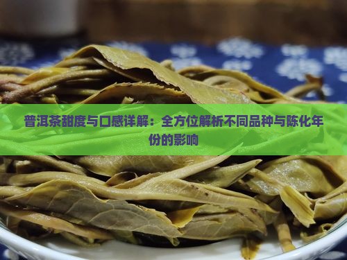 普洱茶甜度与口感详解：全方位解析不同品种与陈化年份的影响