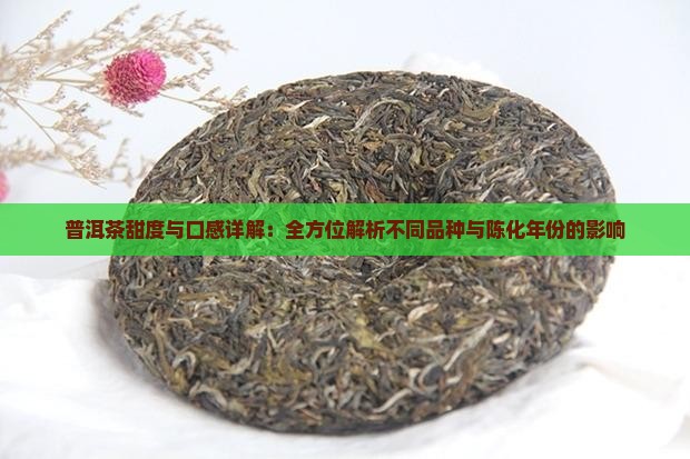 普洱茶甜度与口感详解：全方位解析不同品种与陈化年份的影响