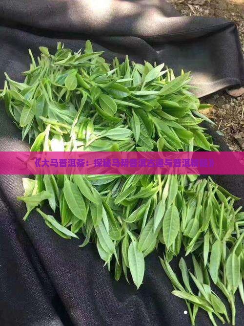 《大马普洱茶：探秘马帮普洱古道与普洱精髓》