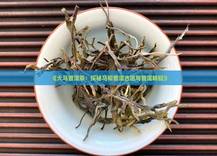 《大马普洱茶：探秘马帮普洱古道与普洱精髓》