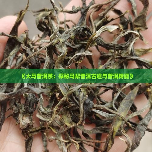 《大马普洱茶：探秘马帮普洱古道与普洱精髓》