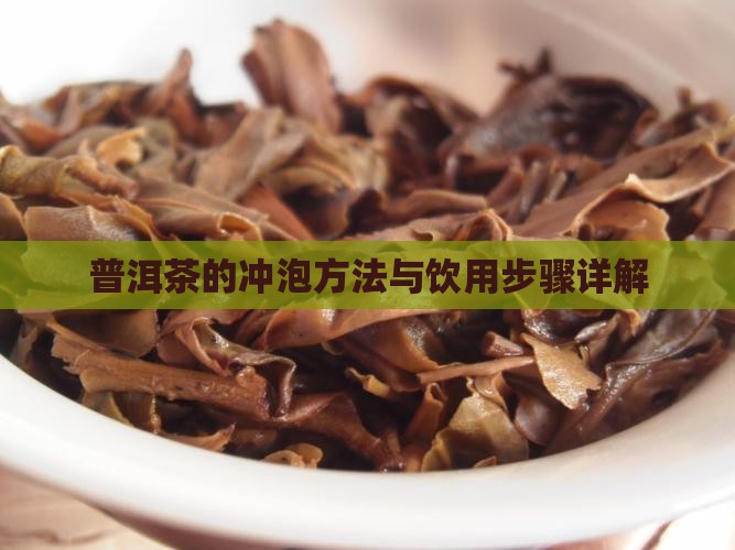普洱茶的冲泡方法与饮用步骤详解