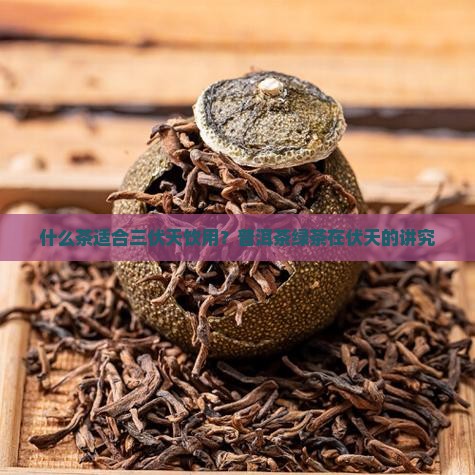 什么茶适合三伏天饮用？普洱茶绿茶在伏天的讲究