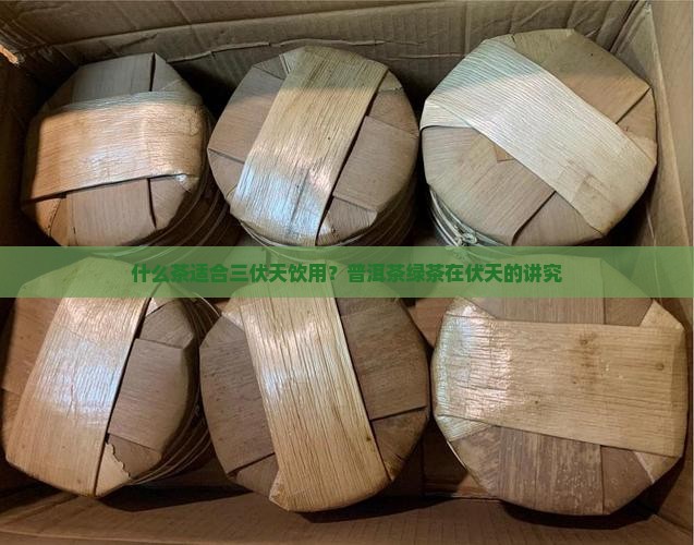 什么茶适合三伏天饮用？普洱茶绿茶在伏天的讲究
