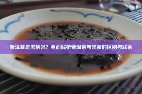 普洱茶是黑茶吗？全面解析普洱茶与黑茶的区别与联系