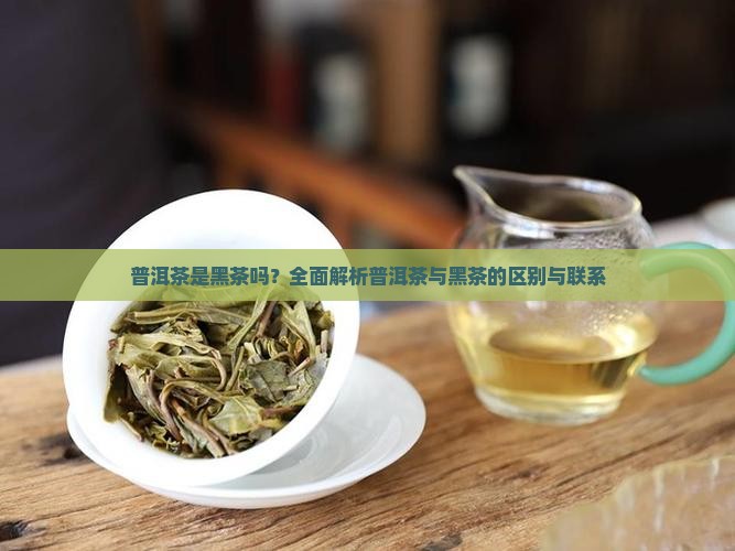 普洱茶是黑茶吗？全面解析普洱茶与黑茶的区别与联系