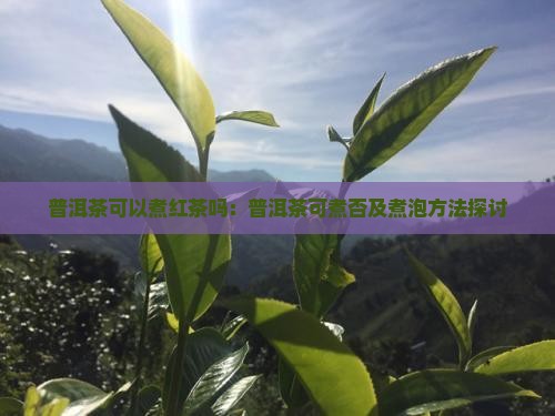 普洱茶可以煮红茶吗：普洱茶可煮否及煮泡方法探讨
