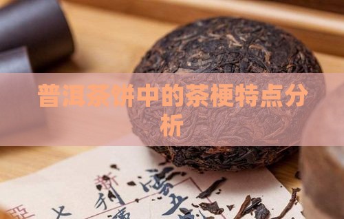 普洱茶饼中的茶梗特点分析