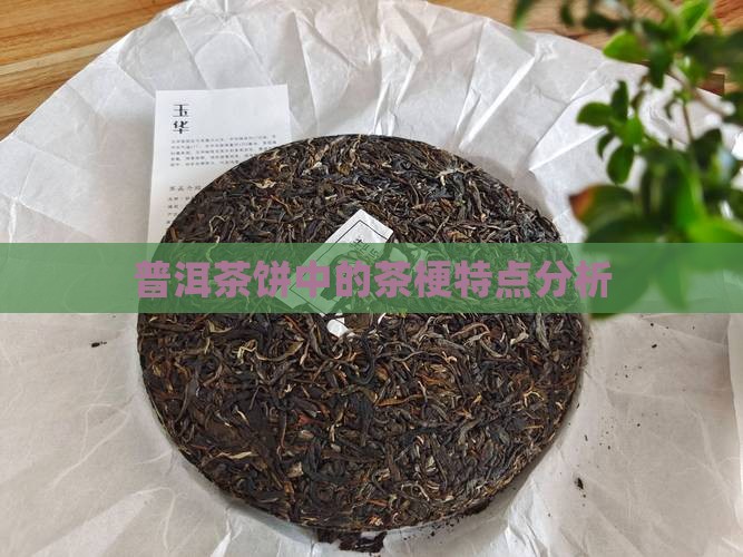 普洱茶饼中的茶梗特点分析
