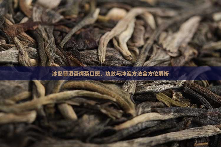 冰岛普洱茶烤茶口感、功效与冲泡方法全方位解析
