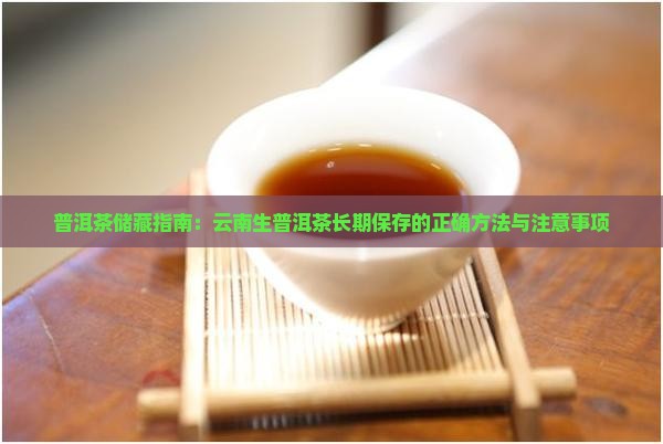 普洱茶储藏指南：云南生普洱茶长期保存的正确方法与注意事项