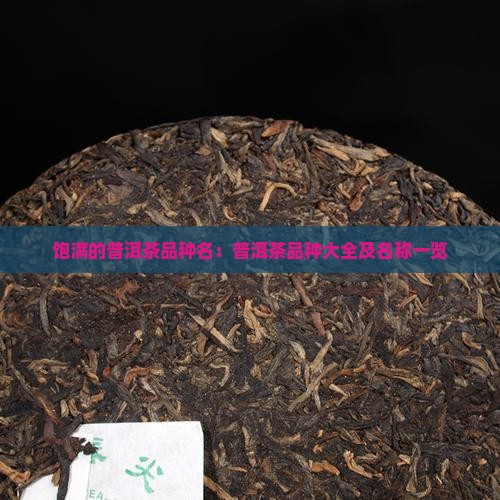 饱满的普洱茶品种名：普洱茶品种大全及名称一览
