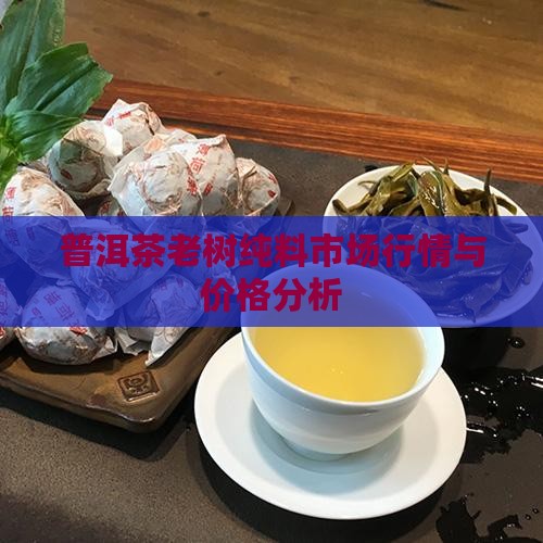 普洱茶老树纯料市场行情与价格分析