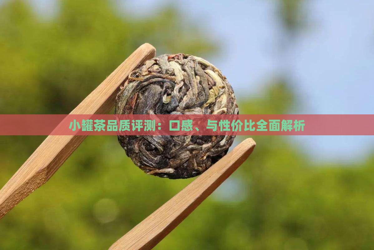 小罐茶品质评测：口感、与性价比全面解析