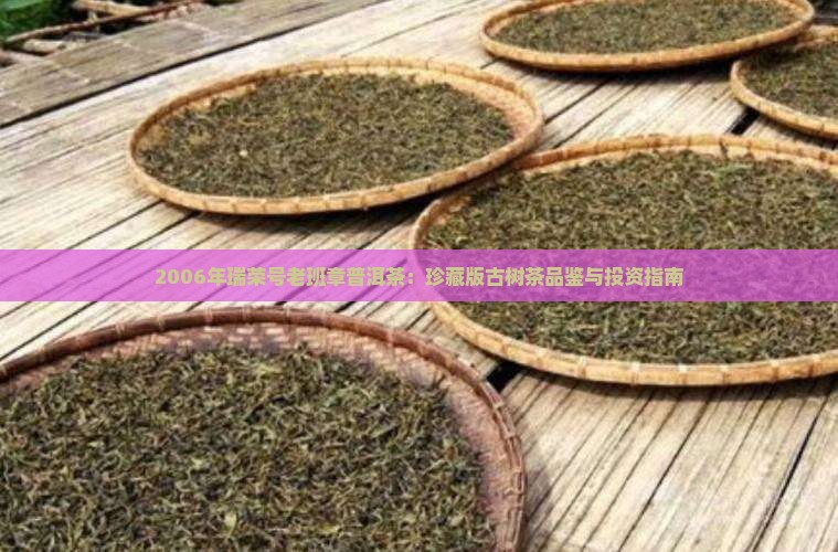 2006年瑞荣号老班章普洱茶：珍藏版古树茶品鉴与投资指南