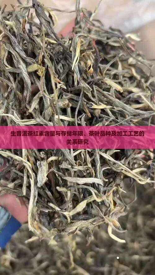 生普洱茶红素含量与存储年限、茶叶品种及加工工艺的关系研究