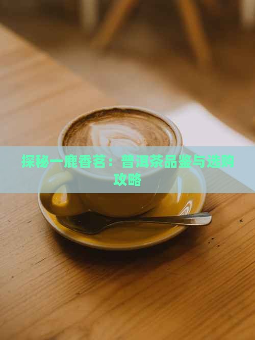 探秘一鹿香茗：普洱茶品鉴与选购攻略
