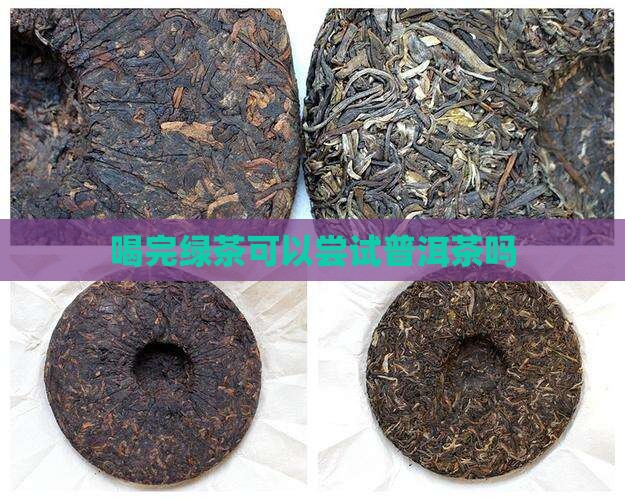 喝完绿茶可以尝试普洱茶吗