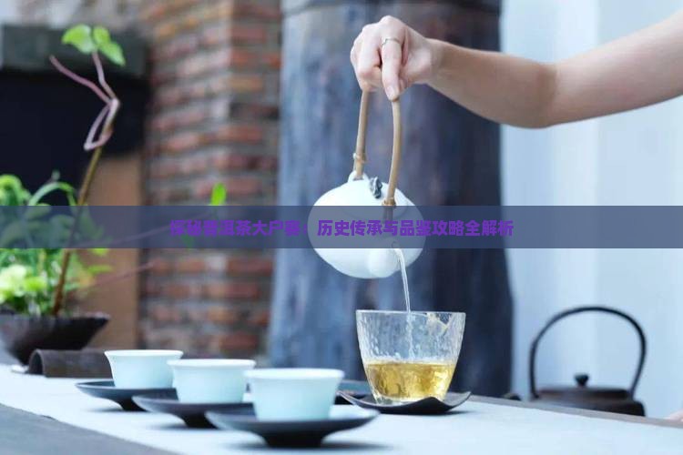 探秘普洱茶大户赛：历史传承与品鉴攻略全解析