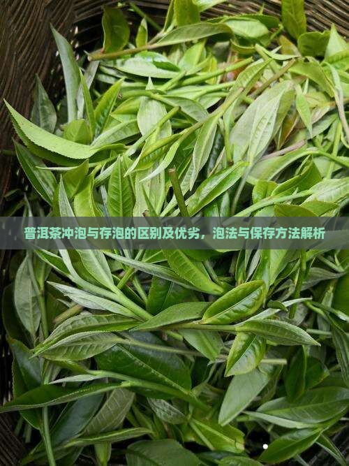 普洱茶冲泡与存泡的区别及优劣，泡法与保存方法解析