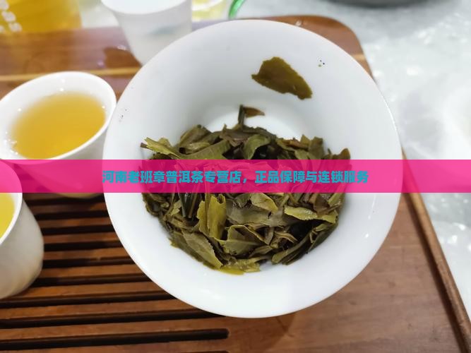 河南老班章普洱茶专营店，正品保障与连锁服务