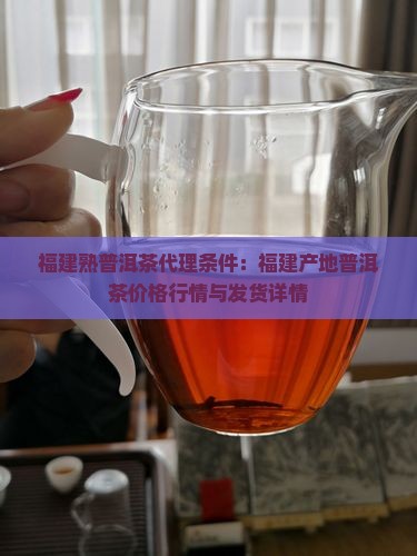 福建熟普洱茶代理条件：福建产地普洱茶价格行情与发货详情
