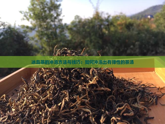 冰岛茶的冲泡方法与技巧：如何冲泡出有弹性的茶汤