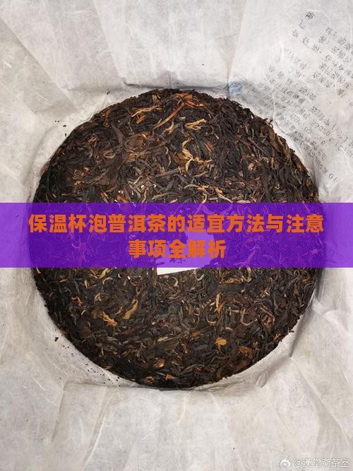 保温杯泡普洱茶的适宜方法与注意事项全解析