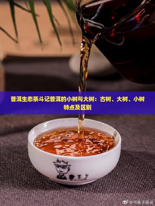 普洱生态茶斗记普洱的小树与大树：古树、大树、小树特点及区别