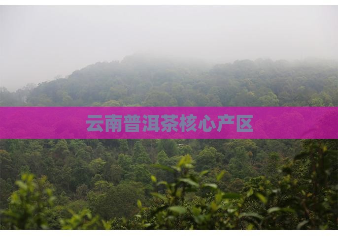 云南普洱茶核心产区