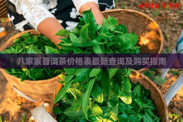 八家寨普洱茶价格表最新查询及购买指南 八家寨普洱茶价格表最新查询及购买指南