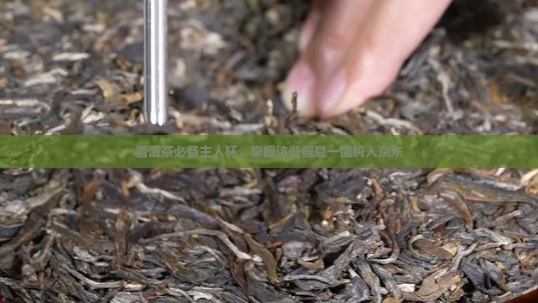 普洱茶必备主人杯，掌握这些信息一键购入京东