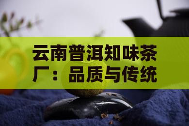 云南普洱知味茶厂：品质与传统的完美结合